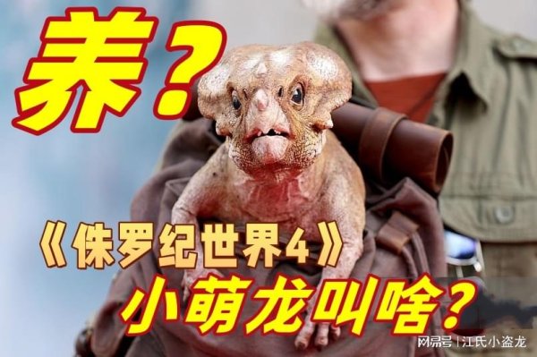启运配资 《侏罗纪世界4》里的小萌龙到底叫什么名字？