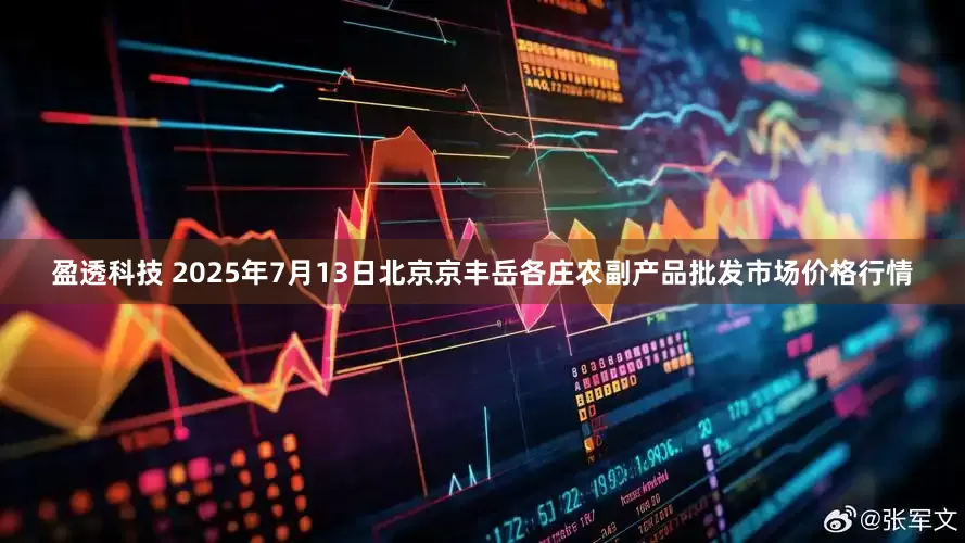 盈透科技 2025年7月13日北京京丰岳各庄农副产品批发市场价格行情